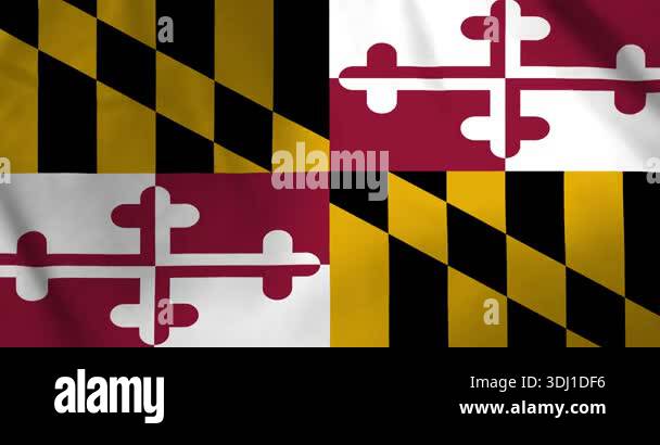 The maryland state flag of the United States of America waving with the ...