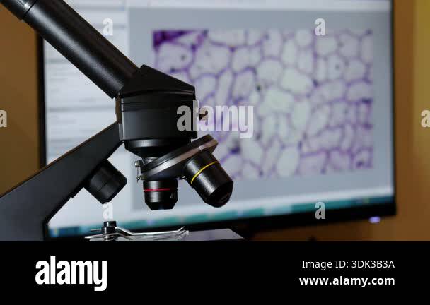 Microscopy cells image laboratory Stock Videos & Footage - HD and 4K ...