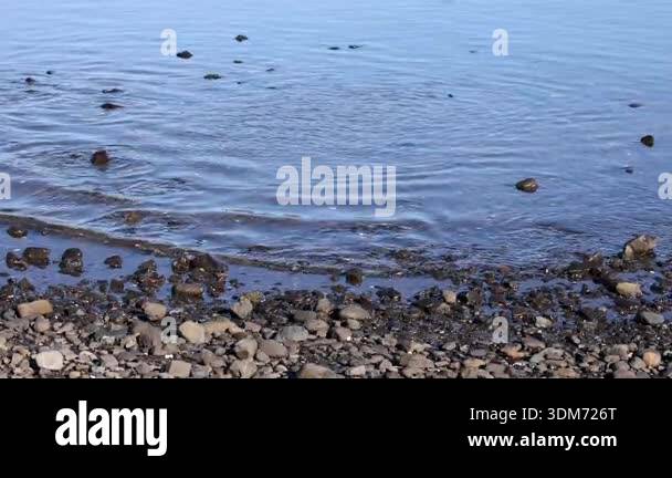 Calm water ripples over rocky Stock Videos & Footage - HD and 4K Video ...