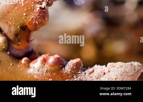 A persons hand chooses and removes a metal bar attachment from a gym ...