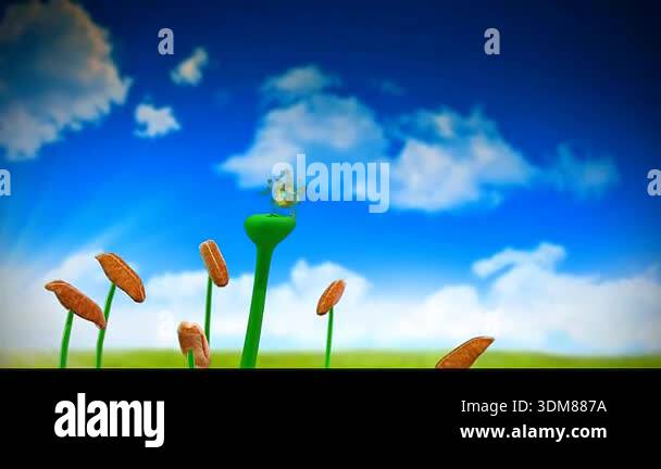 3d animation of types and processes of pollination showing self and ...