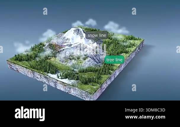3d animation of cold zone vegetation across altitudinal zones showing ...