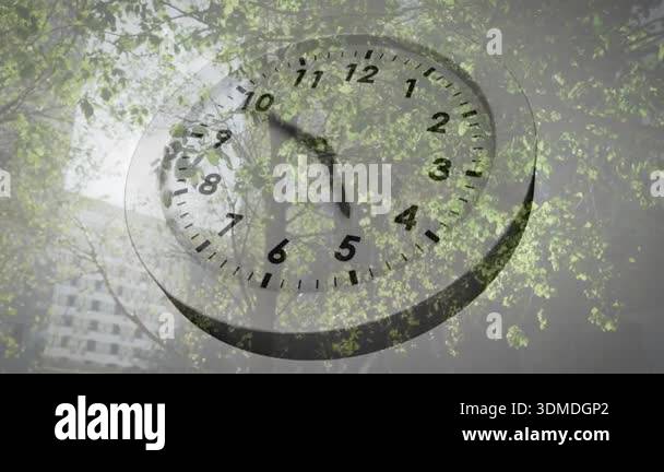 Floating 3D clock amid leafy canopy starting rotation while hands ...