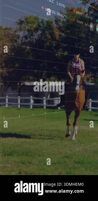 Financial data charts animation over person riding horse in grassy ...