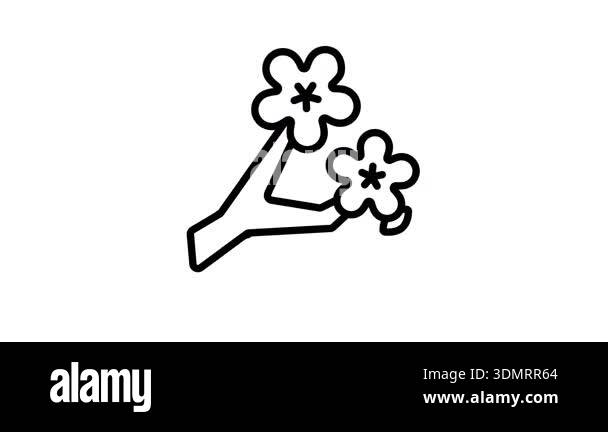 Sakura flower animated vector design, cherry blossom flower animated ...