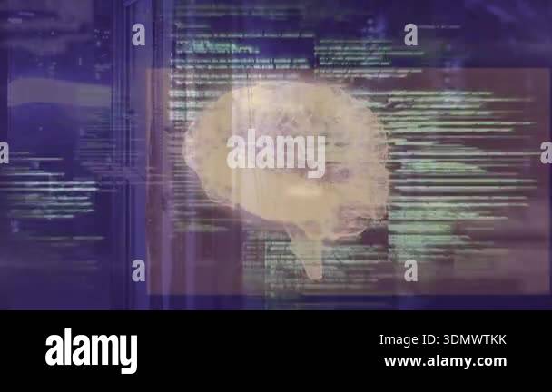 Translucent Brain Animation Translucent 3D brain appearing on purple backdrop, streaming code ...