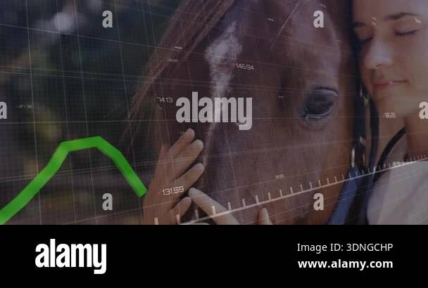 Equine Graph Veterinarian brushing horse forehead and monitoring green health graph ...