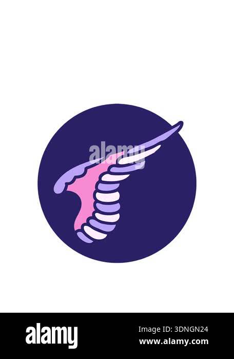 jumping motion animation of wing cartoon element Stock Video Footage ...