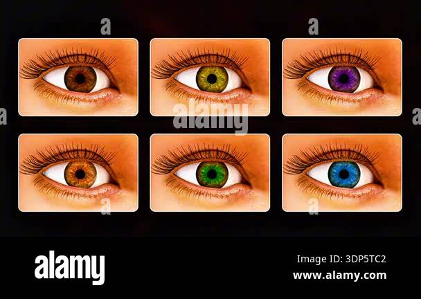 3d animation of human eye anatomy showing cornea, ciliary body, lens ...