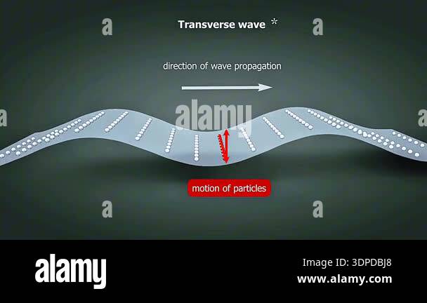 3d animation of transverse wave showing particle motion perpendicular ...