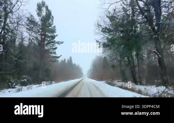 Road with snow. Winter white snow outdoor in forest park at snowy ...