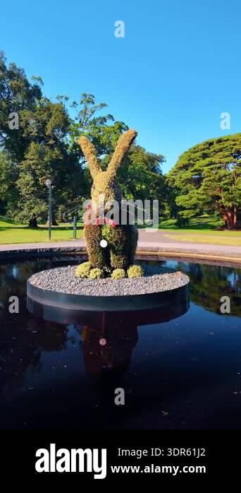 Rabbit topiary Stock Videos & Footage - HD and 4K Video Clips - Alamy