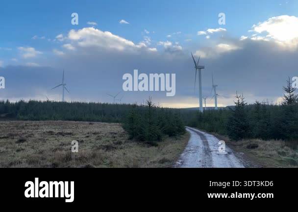 Woodland area featuring wind turbines at Dun Law Wind Farm in Scottish ...