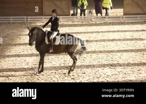 Female rider wearing a helmet controlling a horse rearing on hind legs ...