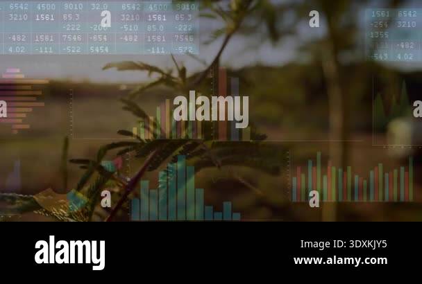 Sunset causing branch swaying with camera panning and graphs updating ...