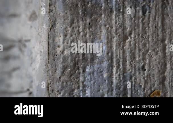 Background with grey color from big stone Stock Video Footage - Alamy