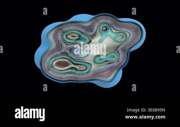 Cell cross section membrane layers Stock Videos & Footage - HD and 4K ...