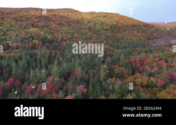 beautiful autumn in the mountains Stock Video Footage - Alamy