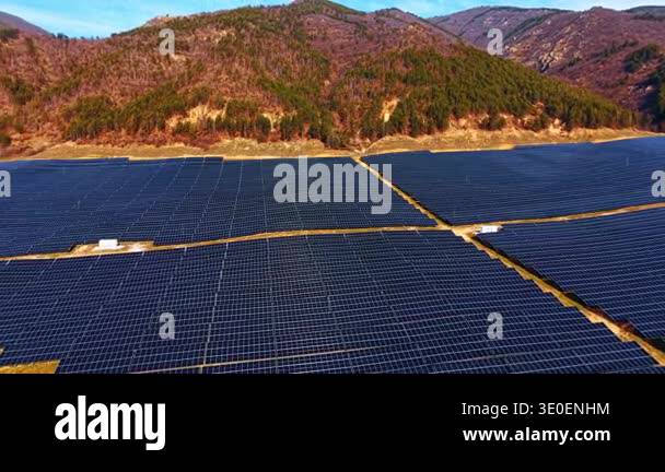 Large scale solar farm installed near green forest. Wide aerial shot of ...