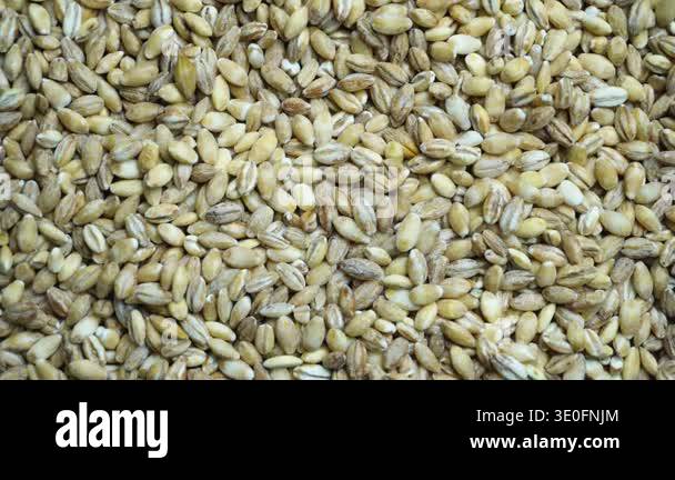 A Close-Up Exploration of Raw Grains Highlighting the Textures and ...