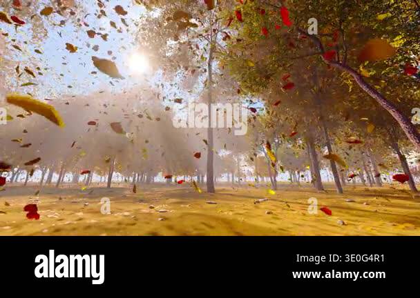 Fallen leaves falling in the woods in autumn wind slow motion Stock ...