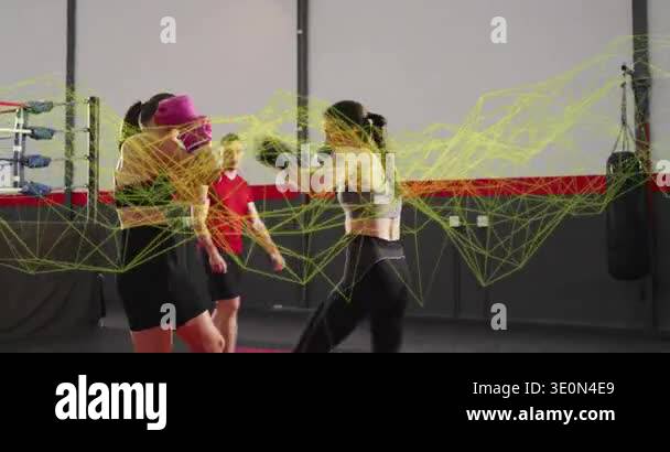 Two female training partners starting guard, trading strikes in boxing ...