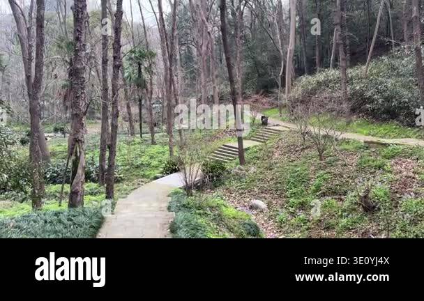 Peaceful walking trail through lush green hills in Hangzhou, China ...