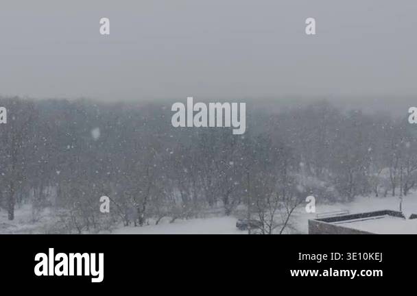 Intense snow falls rapidly over a wooded landscape, obscuring distant ...