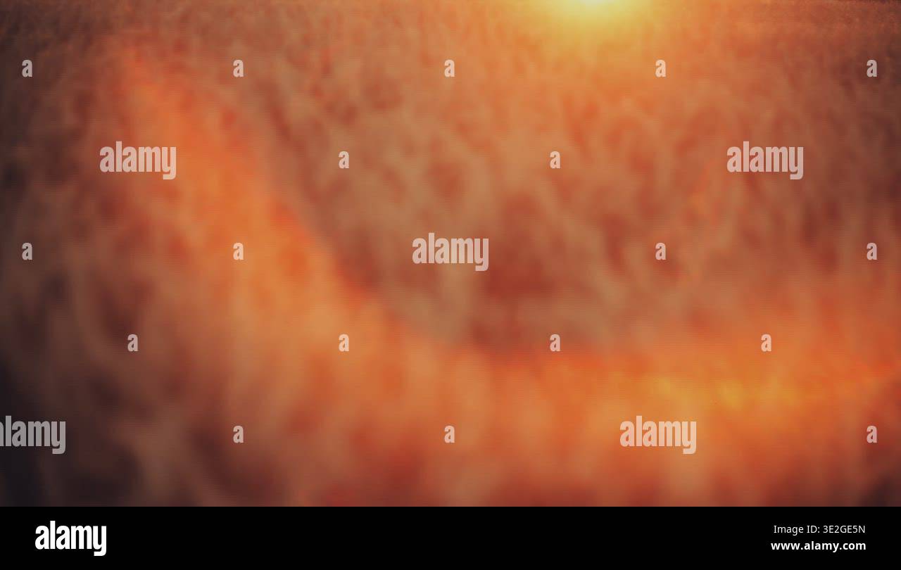 Wheat Field Summer Nature Outdoors Landscape Scenic Sun Stock Video 