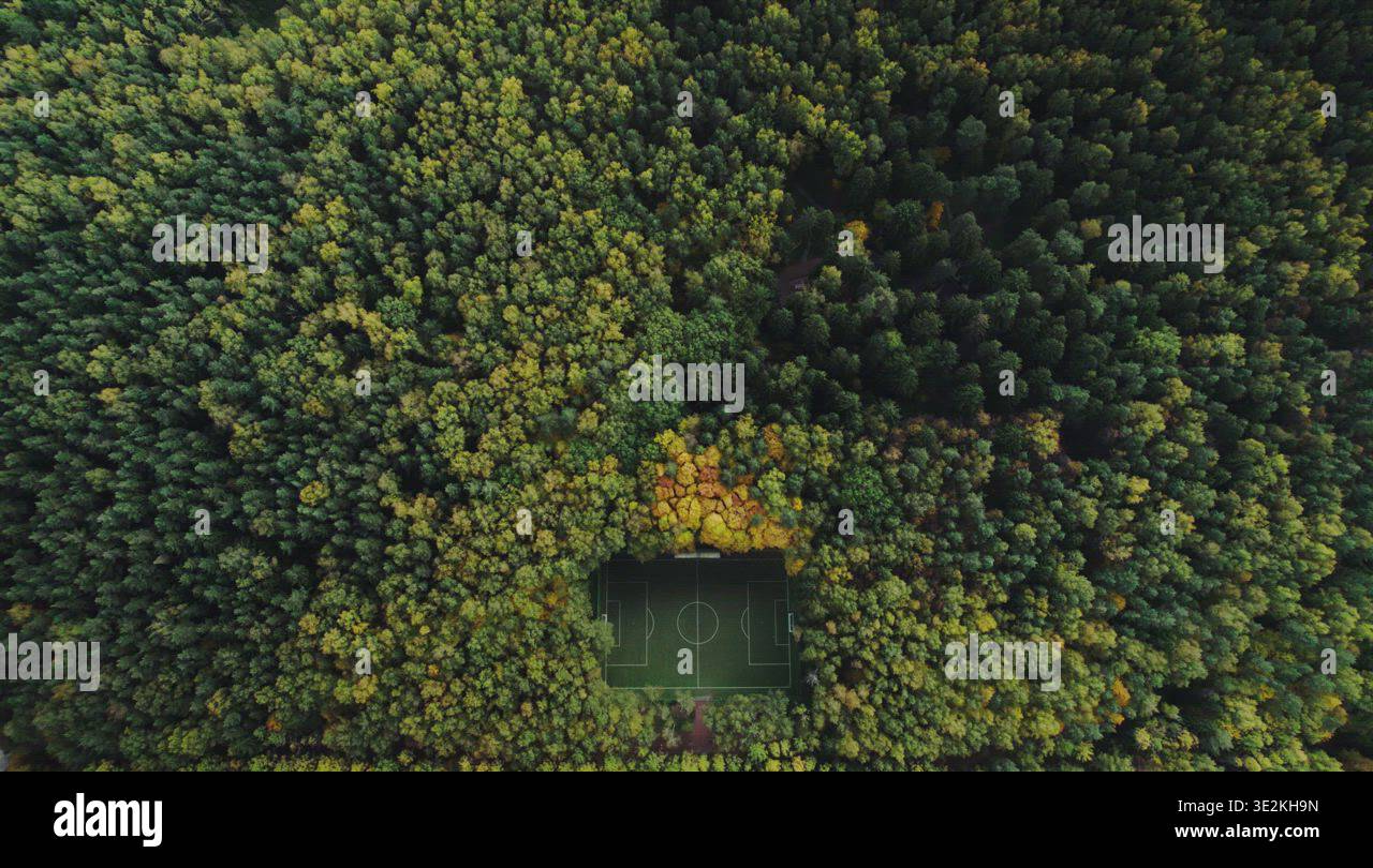 Football in a beautiful autumn forest Stock Video Footage - Alamy