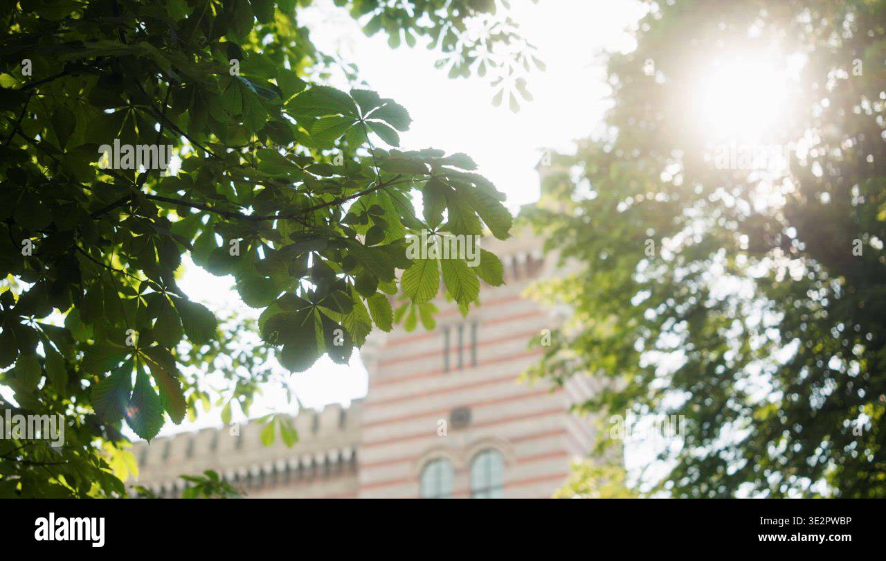 University building yard exterior. Sun rays through tree leaves Stock ...