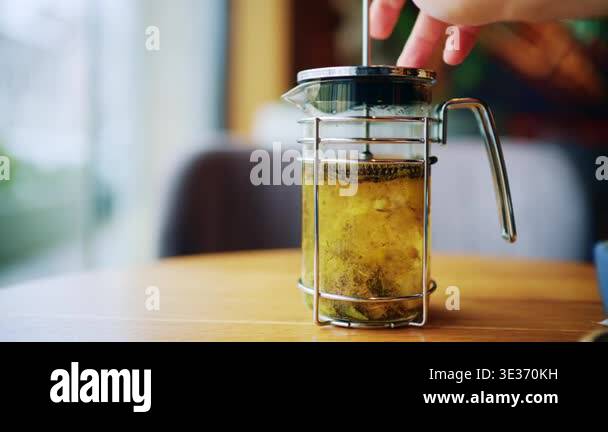 Woman pressing French press to brew herbal tea in glass teapot on ...