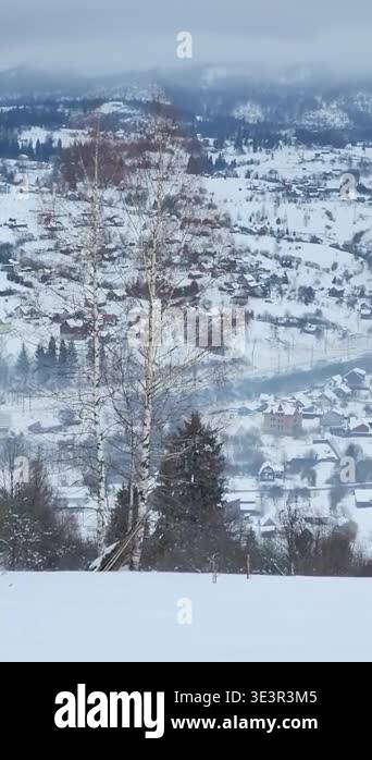 Beautiful Winter Landscape With Trees And Mountains Stock Video Footage beautiful-winter-landscape-with-trees-and-mountains-stock-video-footage