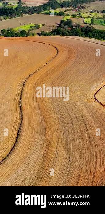 Harvesting scenery in Farming landscape at countryside rural scenery ...