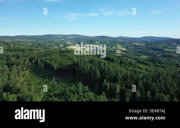 Scenic aerial view of lush green forests and rolling hills in the ...