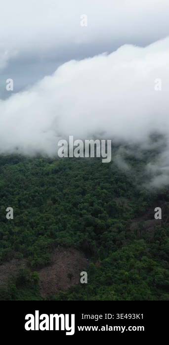 Lush green forest covered in mist and low clouds, captured near Phnom ...