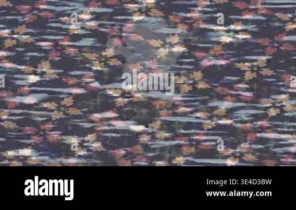 Unlock unlimited creative potential with our diverse range of ... - Minimalist Design Style