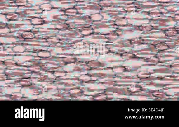 Minimalist organic motion graphics for creative video editing movie ...