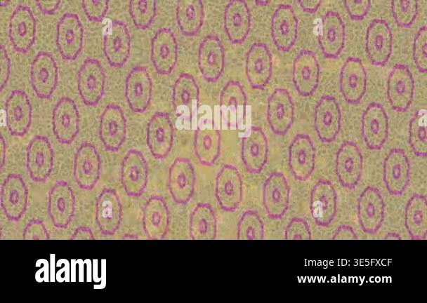 Futuristic digital abstract texture for modern media production ...