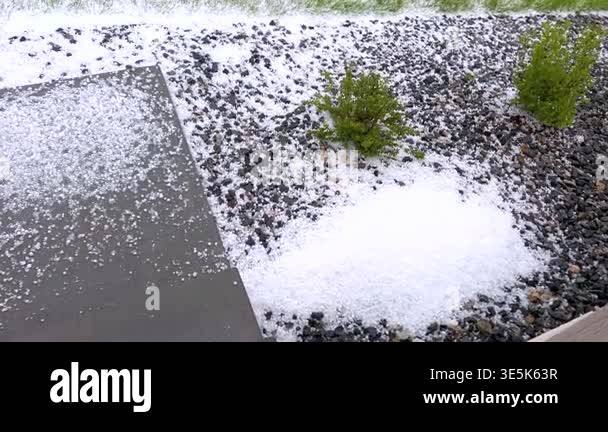 A detailed image showing a close-up view of hailstones densely covering ...