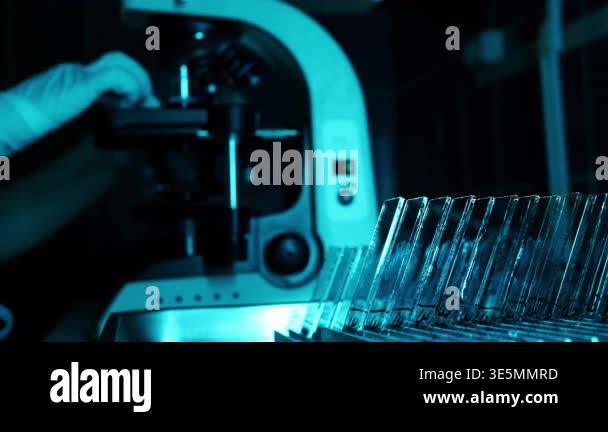 Glass slides prepared for microscope analysis in laboratory with ...