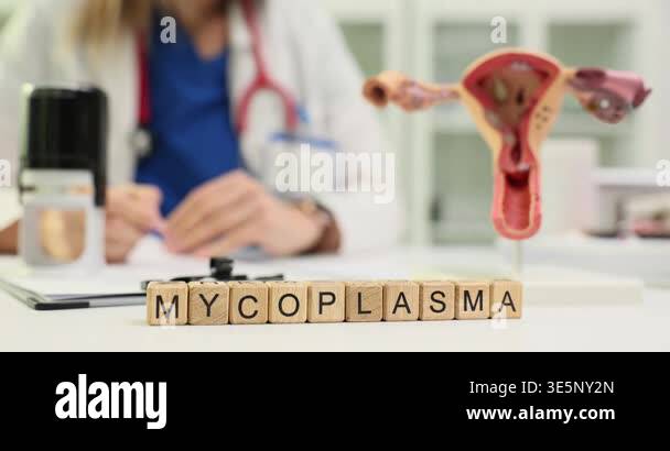 Wooden blocks spell word Mycoplasma near gynecology model and stamp pad ...