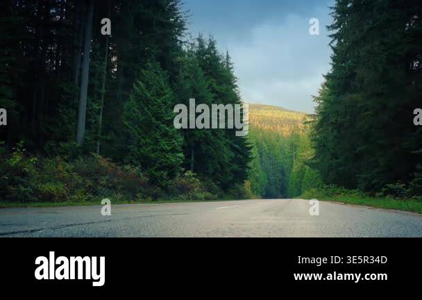 Road Through The Forest With Mountainside Lit Up Stock Video Footage ...