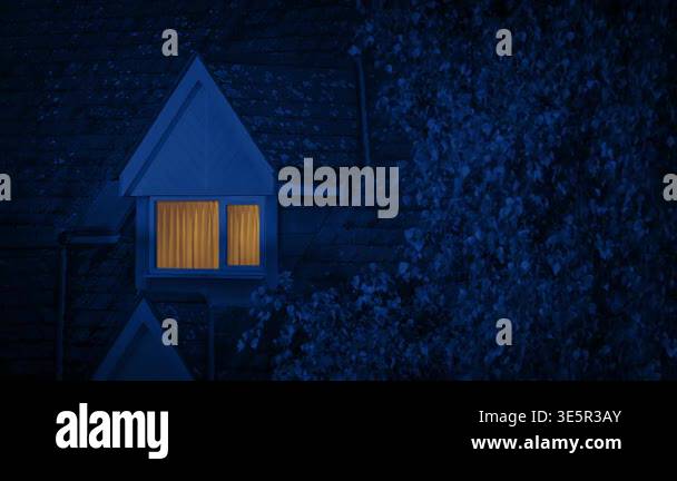 Building Roof With Light On And Tree In Breeze At Night Stock Video ...
