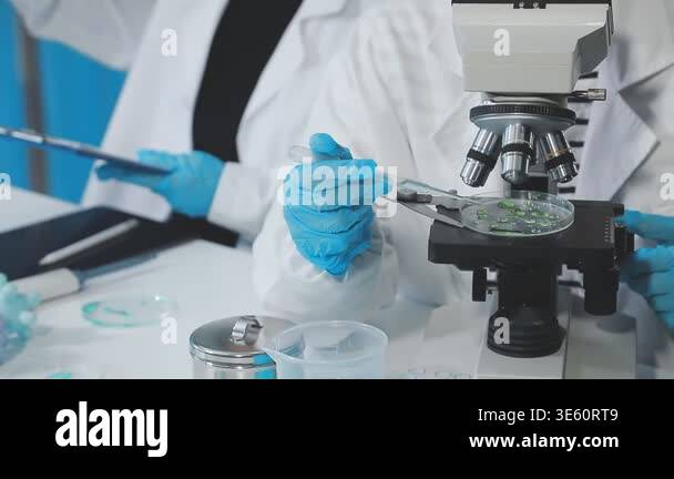 scientist with microscope in laboratory Stock Video Footage - Alamy