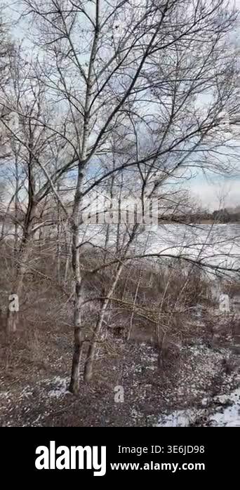 Cinematic slow-motion POV walking along a narrow path by a winter river ...