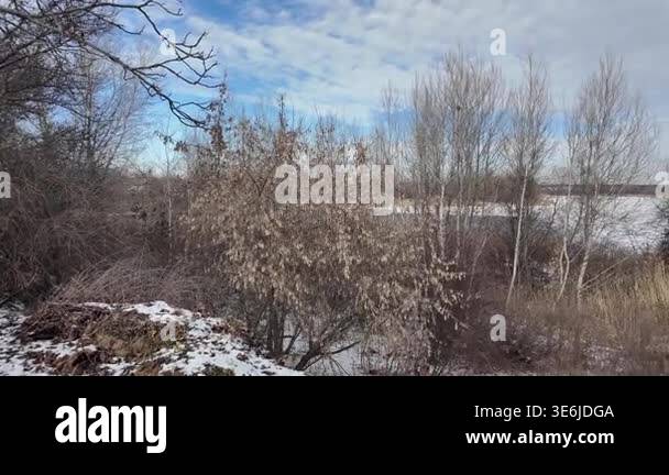 Cinematic slow-motion POV walking along a narrow path by a winter river ...