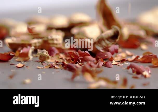Macro view of empty peanut shells and broken husks falling on gray ...