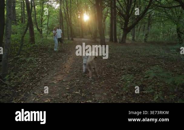 Family walking together on forest trail, sharing warm sunset moments ...