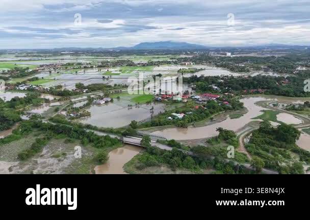 Drone shot drone footage showing Labuh Banting rice paddies ...